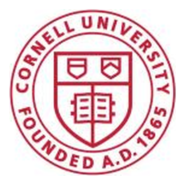 Marketing Strategy, eCornell